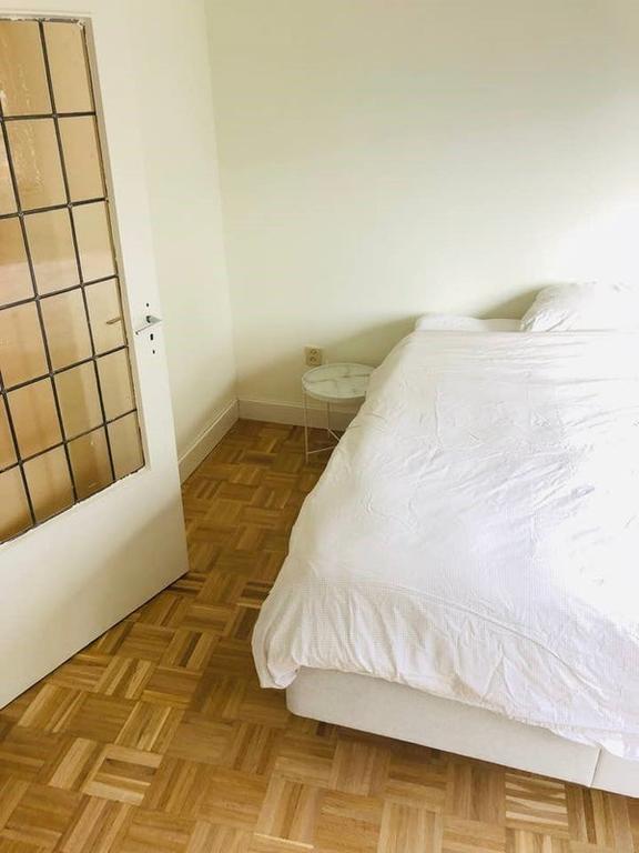 Furnished 1-Bedroom Apartment with Balcony - Image 7
