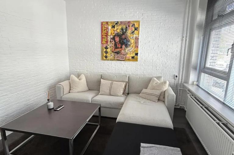Furnished apartment with terrace in Stadsdriehoek - Image 11