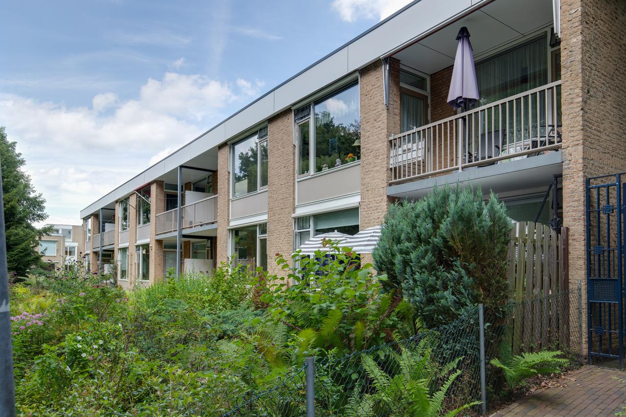 Ground floor 1-bedroom apartment with terrace - Image 4