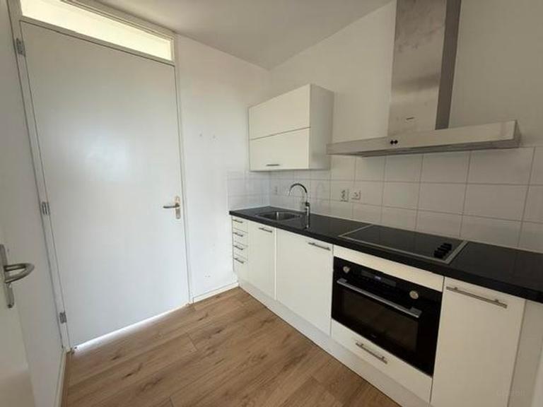 185 m² Apartment with Terrace in IJburg - Image 5