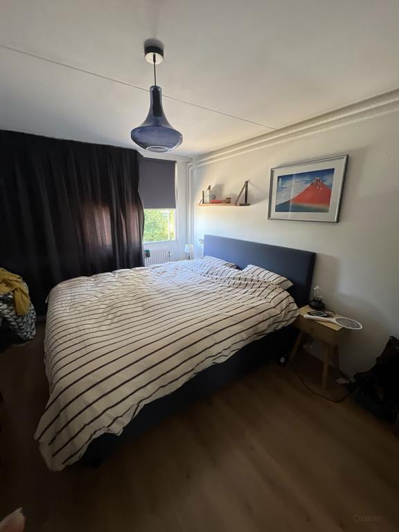 Four bedrooms and a garden in Hoogland - Image 10