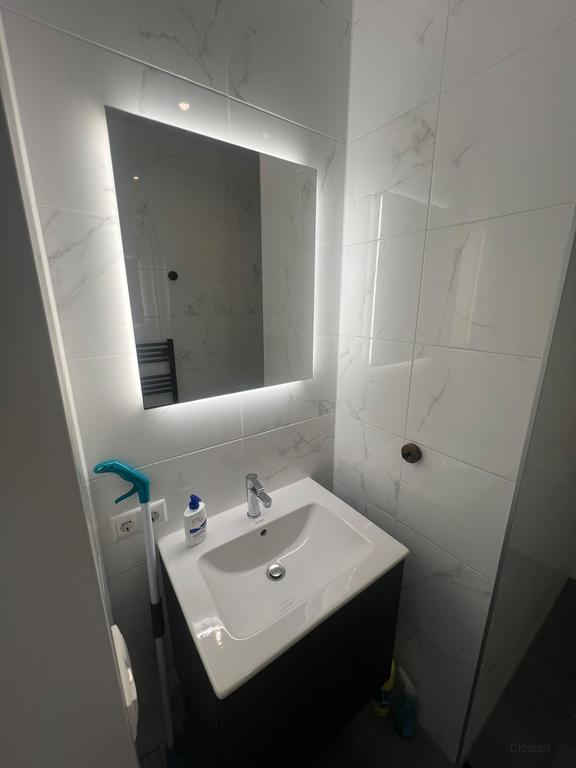 Huurhuis in Hyde Park Hoofddorp - Afbeelding 4