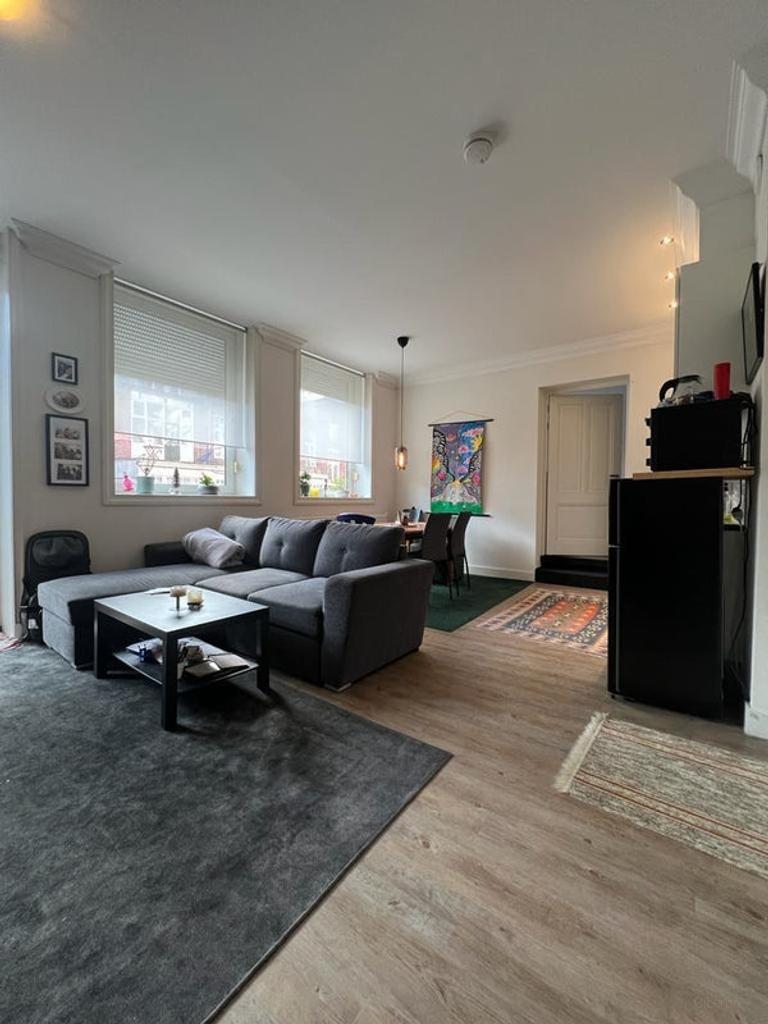 Appartement met dakterras in Schildersbuurt - Afbeelding 2