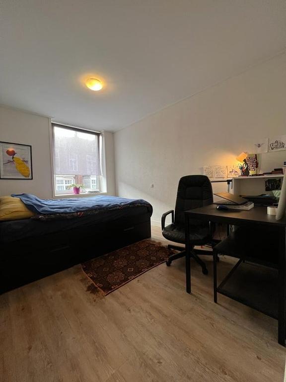Appartement met dakterras in Schildersbuurt - Afbeelding 8