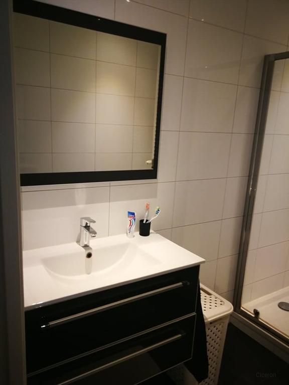 Appartement met dakterras in Schildersbuurt - Afbeelding 11