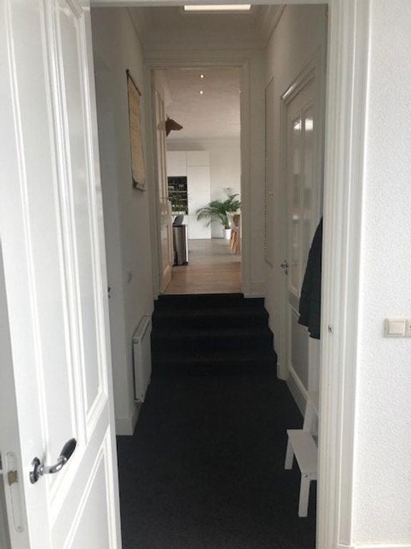 Rooftop terrace & A+++ rating in Schildersbuurt - Image 10