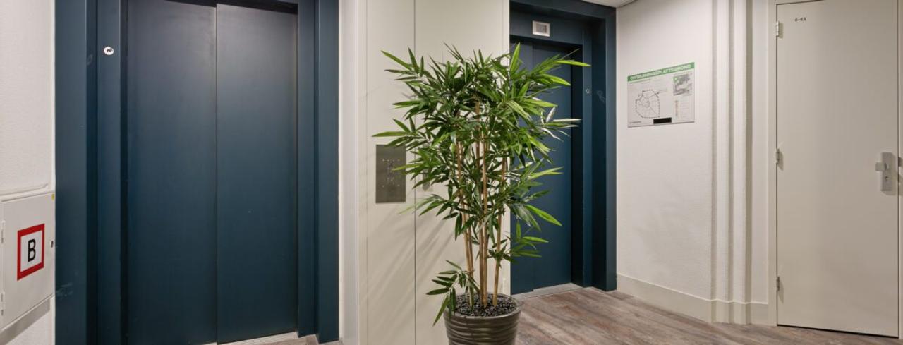 3-kamer appartement met terras in Dordrecht - Afbeelding 5