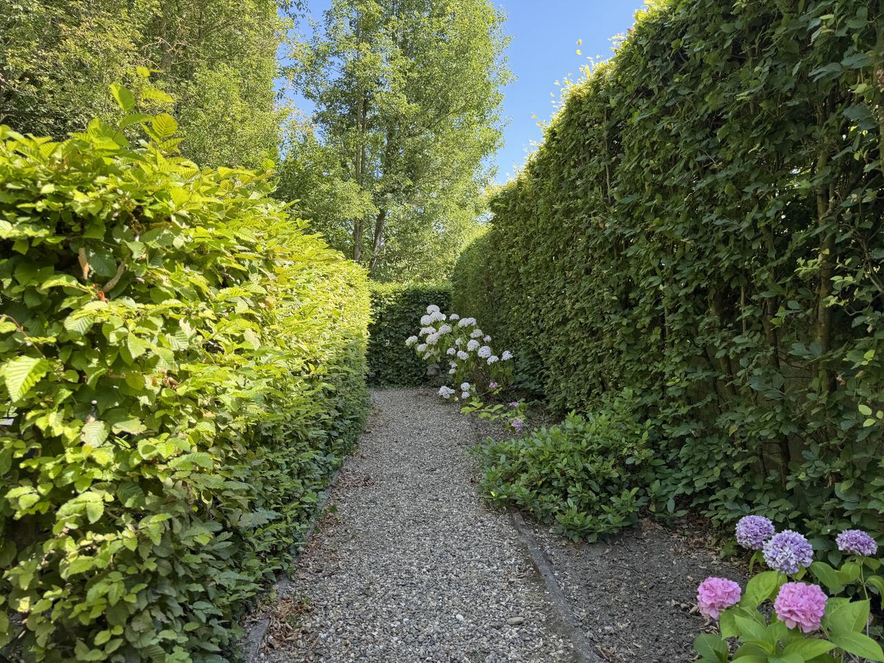 1-bedroom apartment with parking in Valkenburg - Image 10