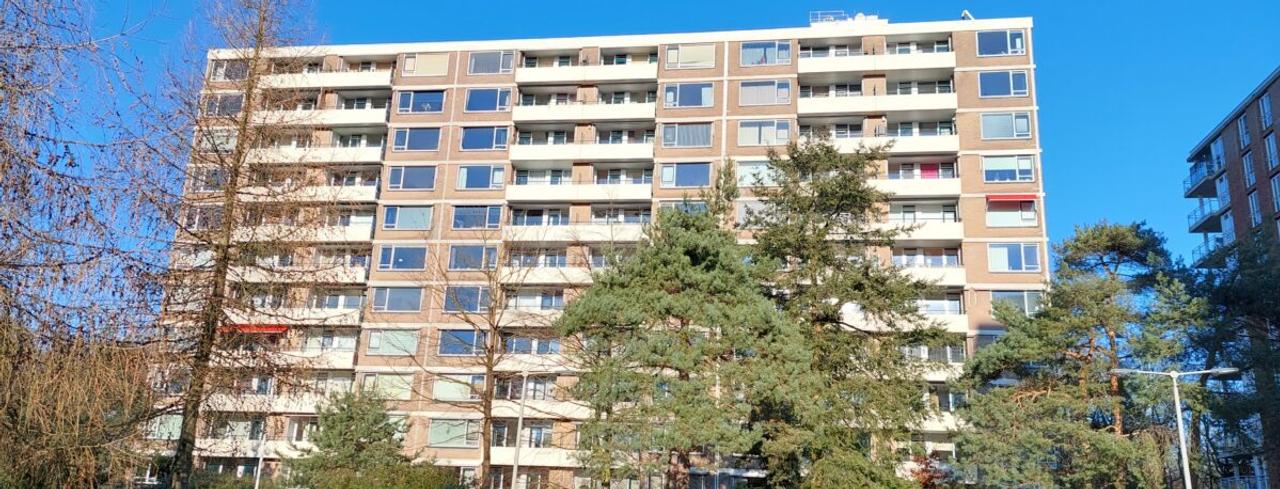 Wonen op de 11e verdieping in Cranevelt - Afbeelding 1