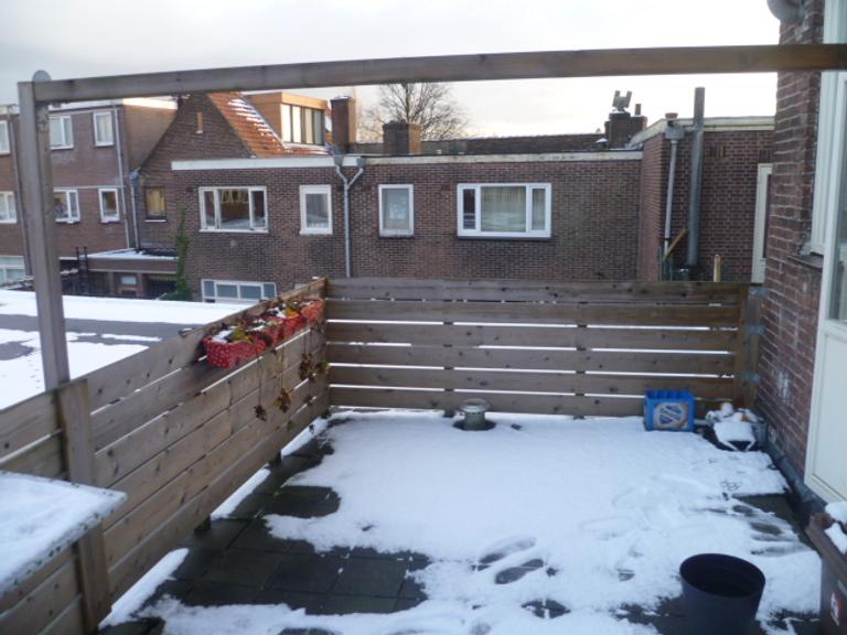 Bright student room with roof terrace in Zuilen - Image 6