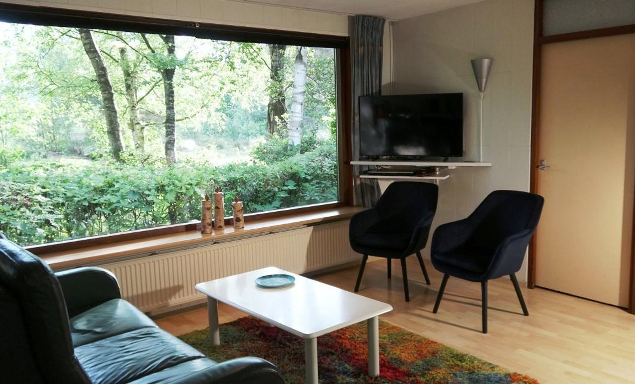 Vrijstaande recreatiewoning met tuin in Pesse - Afbeelding 2