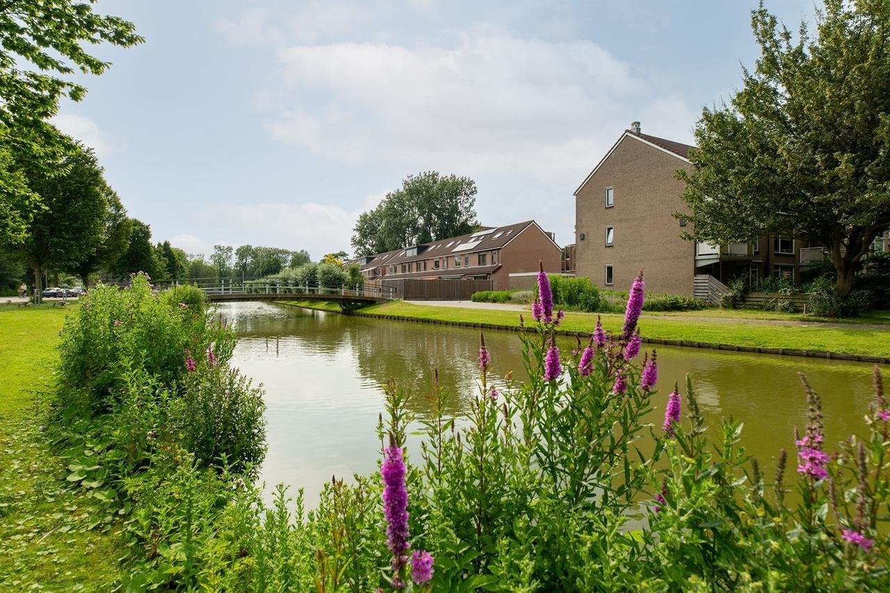 Tijdelijke huur in Schiebroek bij Bergse Plassen - Afbeelding 1