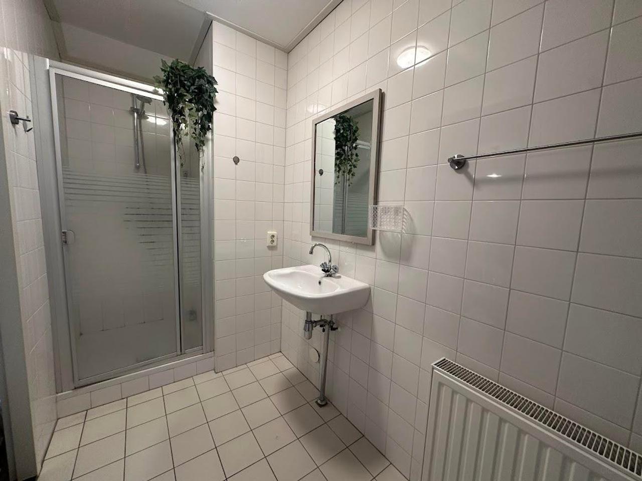 103 m² wonen in hartje Bergen op Zoom - Afbeelding 8