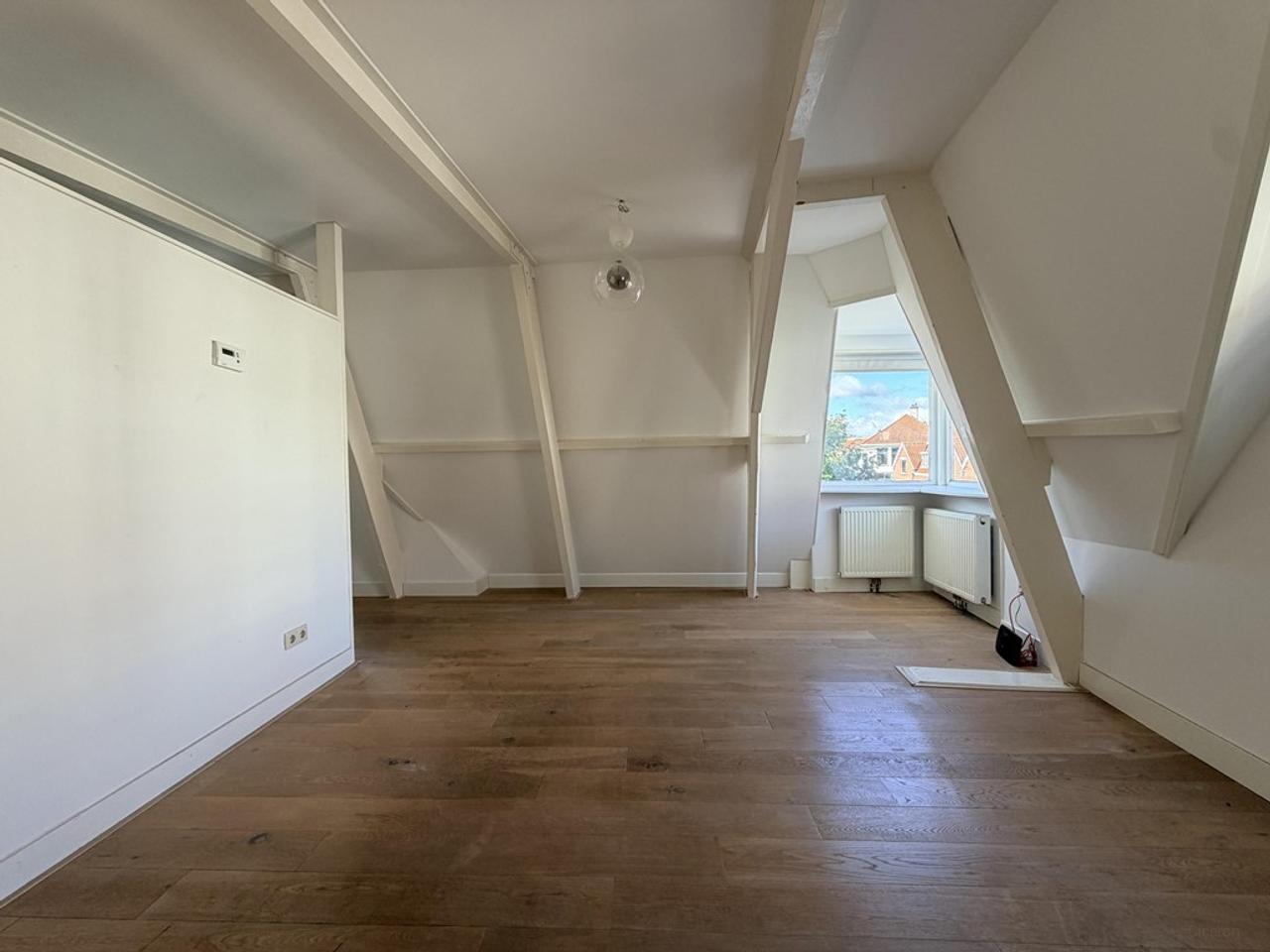 Groot dakterras in Utrecht Oost - Afbeelding 8