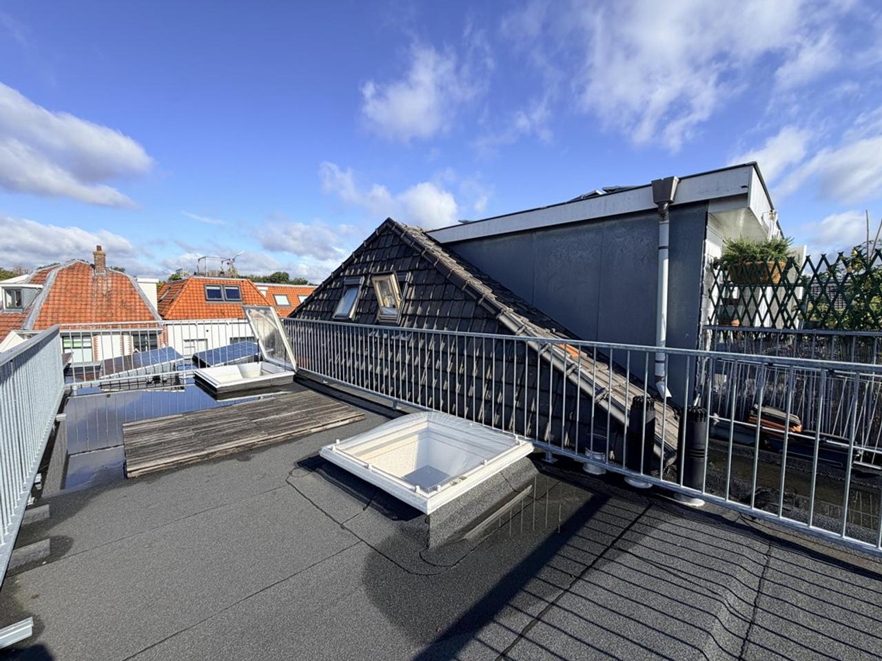 Groot dakterras in Utrecht Oost - Afbeelding 12
