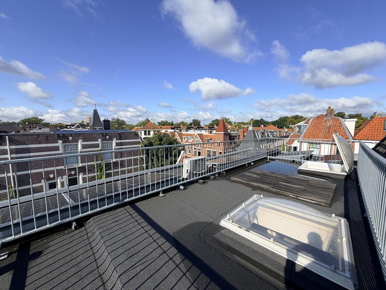 Groot dakterras in Utrecht Oost - Afbeelding 13