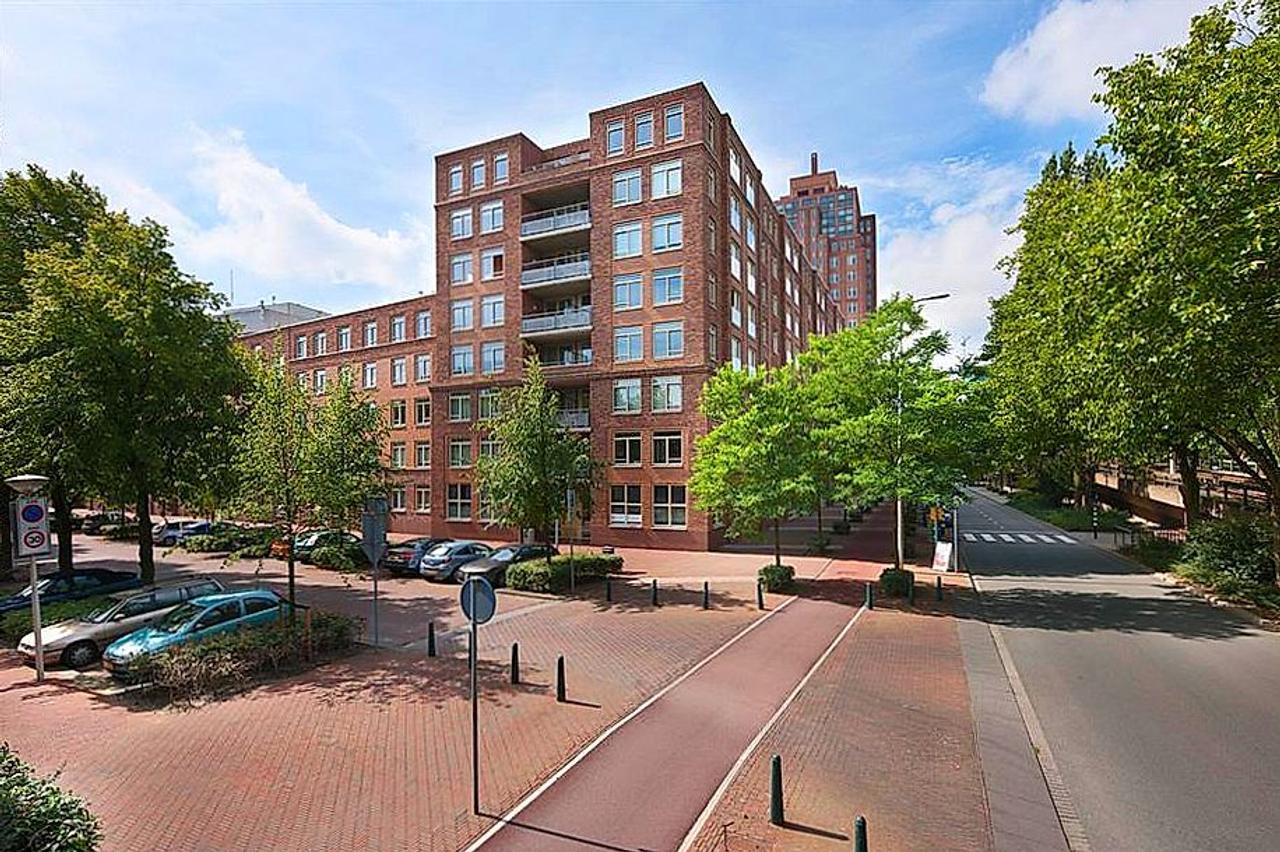 Terras aan de binnentuin in Bezuidenhout - Afbeelding 1