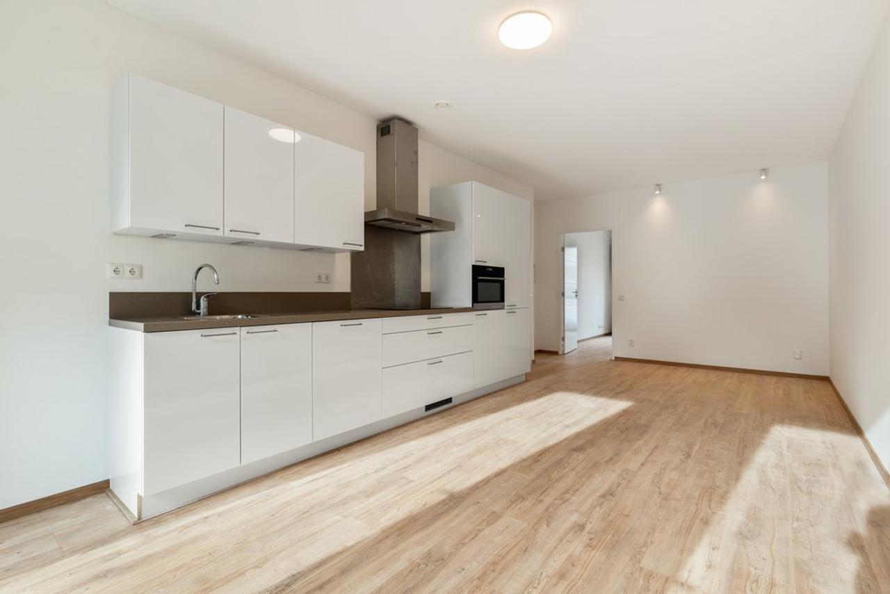 Appartement met tuin in Holland Park - Afbeelding 5