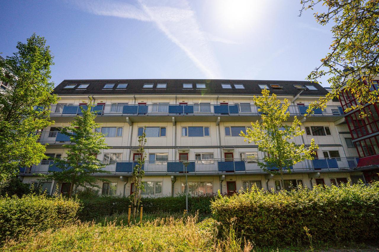 Zonnig balkon op het zuiden in Oost - Afbeelding 1