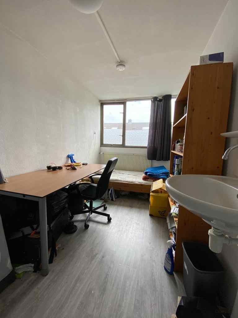 Kamer van 9 m² met eigen wastafel - Afbeelding 2