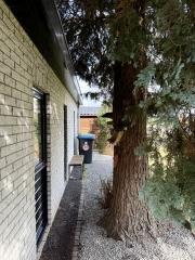 Detached Bungalow with Garden in Odiliapeel - Image 15