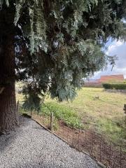 Detached Bungalow with Garden in Odiliapeel - Image 16