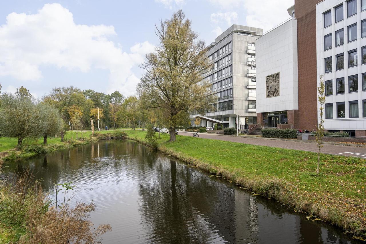 200 m² wonen met terras in Sorghvliet - Afbeelding 4