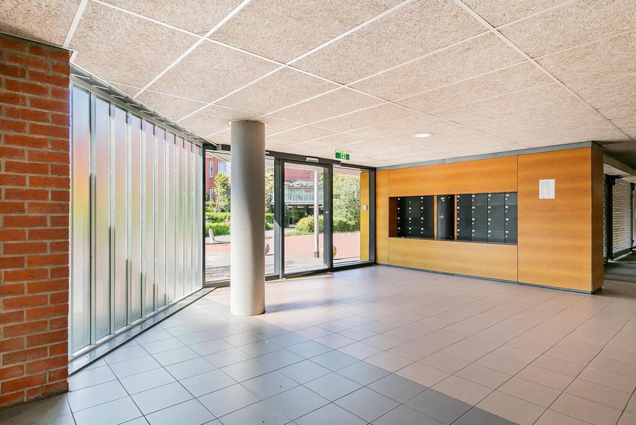Immediately Available 4-Room Apartment with Balcony - Image 4