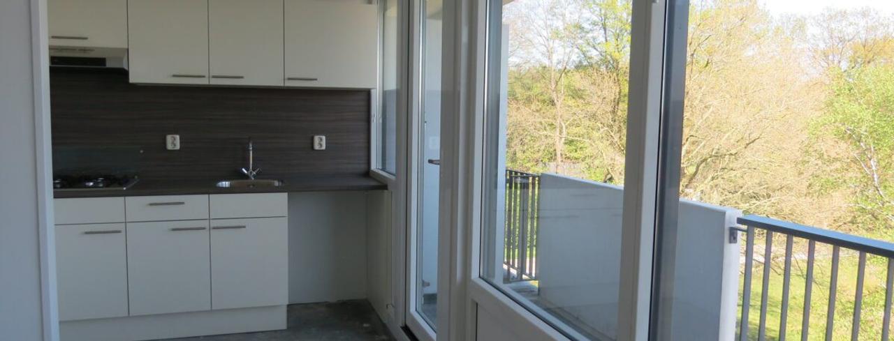 91 m² en vier slaapkamers in Hengelose Es - Afbeelding 4