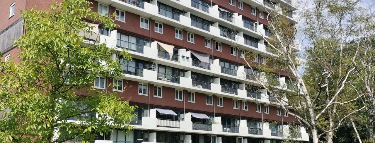 91 m² en vier slaapkamers in Hengelose Es - Afbeelding 12