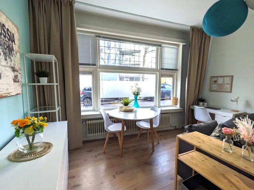 Gemeubileerd wonen bij het Noorderplantsoen - Afbeelding 1
