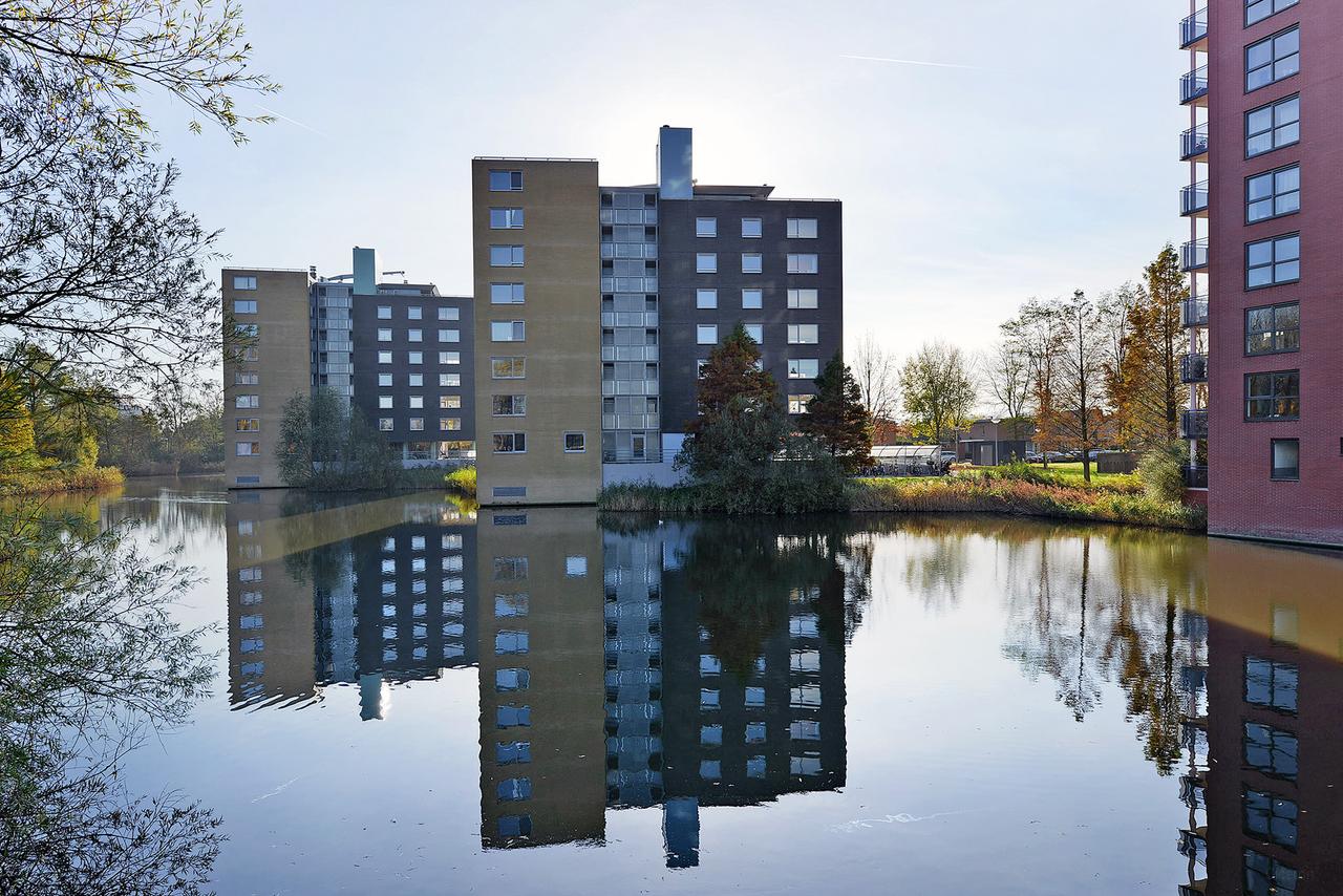 86 m², Energy Rating B in Nieuw-Sloten - Image 3
