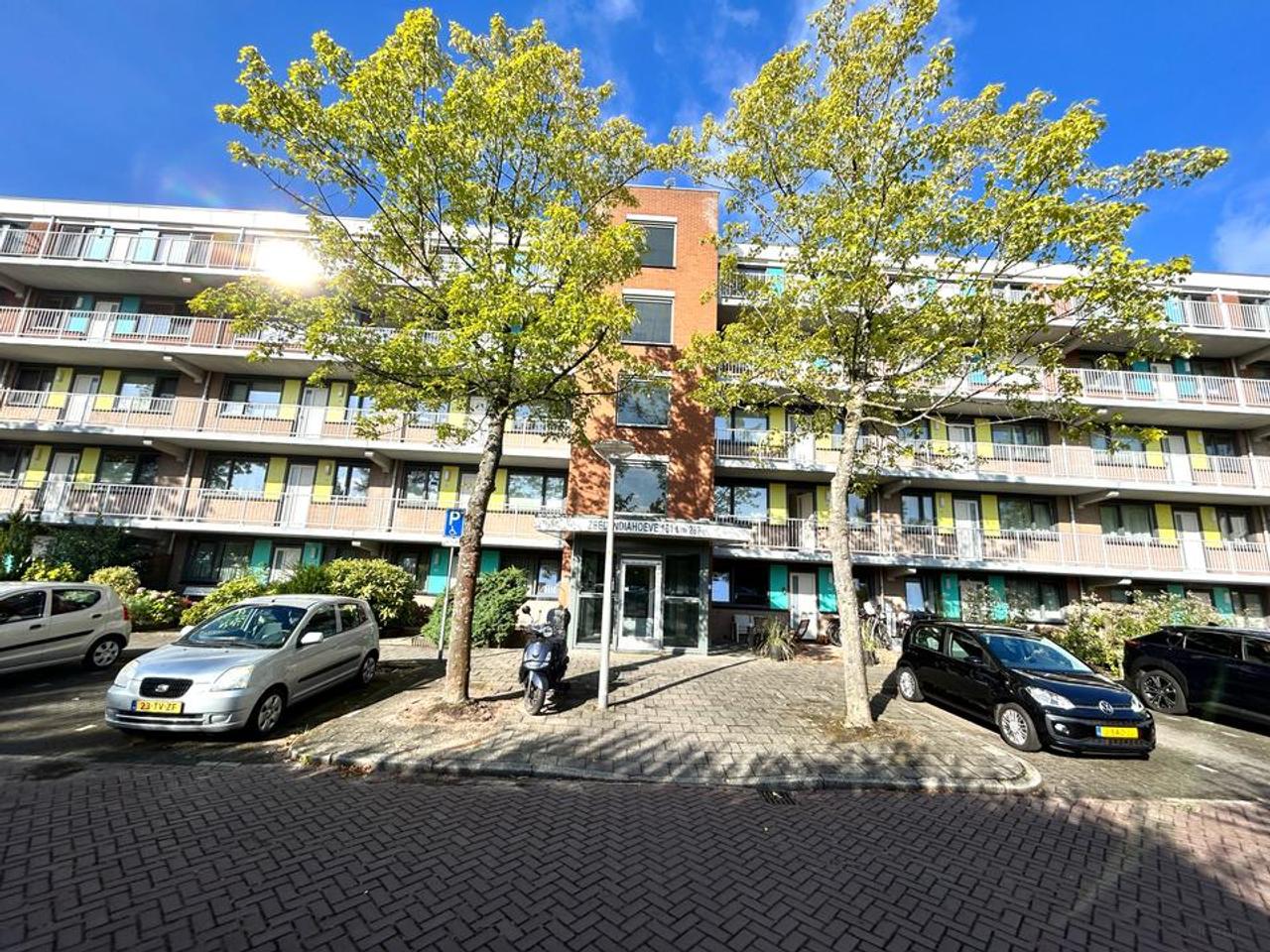 Gemeubileerd 3-kamerappartement met balkon - Afbeelding 1
