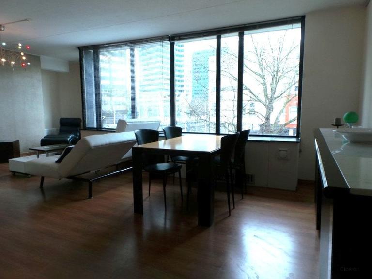 Gemeubileerd 2-kamerappartement met balkon - Afbeelding 6