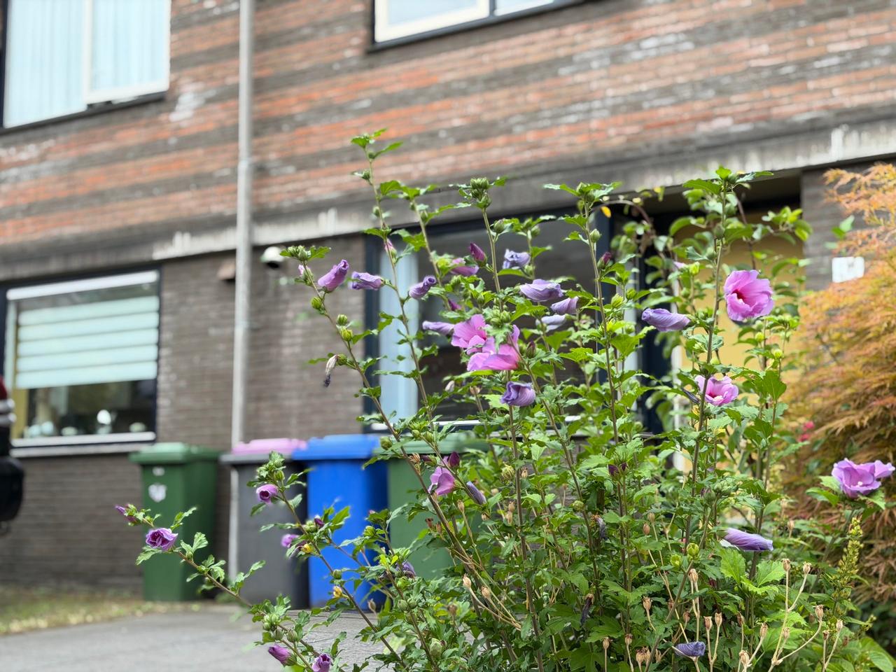 132 m² wonen met 4 slaapkamers in Delft - Afbeelding 3