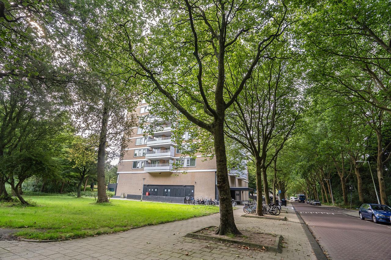 Energiezuinig 3-kamer? - Afbeelding 6