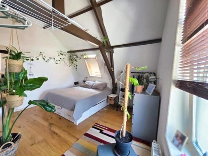 Gemeubileerde bovenwoning van 46 m² - Afbeelding 5