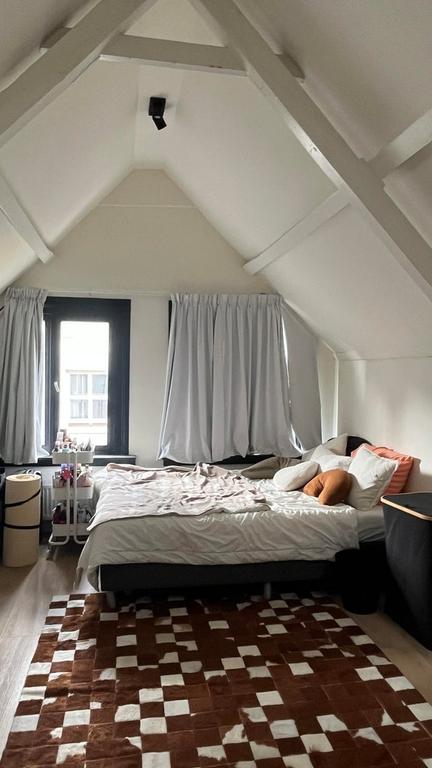 Licht 3-kamerappartement hartje Den Bosch - Afbeelding 11
