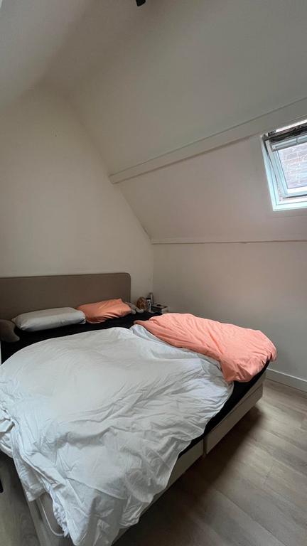 Licht 3-kamerappartement hartje Den Bosch - Afbeelding 17