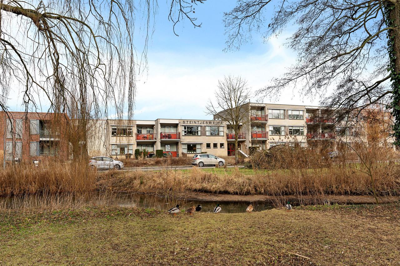 Sunny 55+ apartment with open views - Image 1