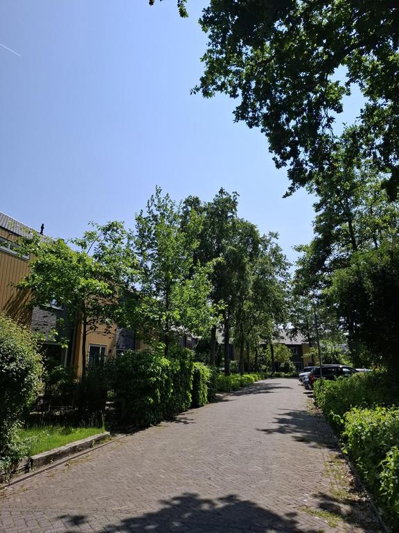 Gemeubileerd huis met 4 slaapkamers - Afbeelding 20