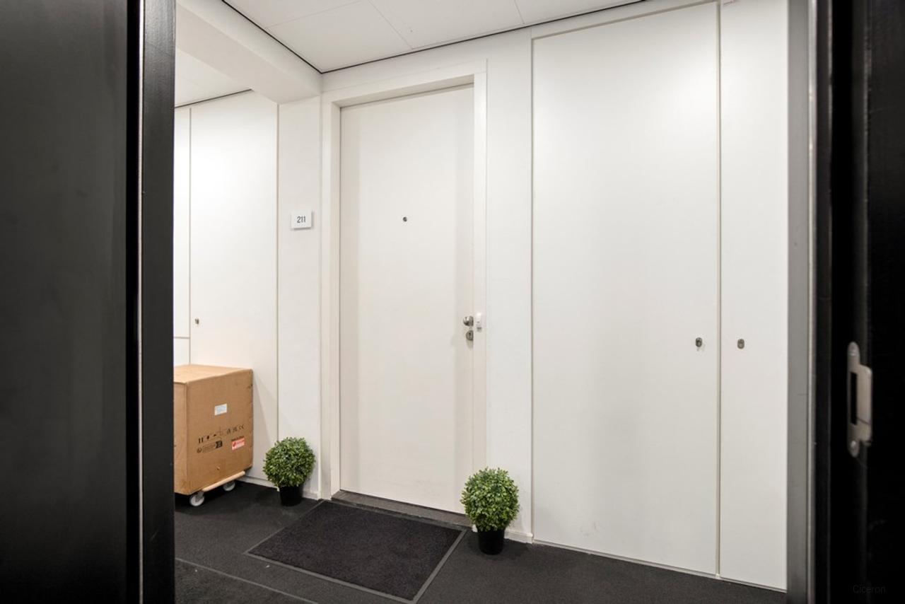 Live on the 29th Floor in The Hague - Image 4