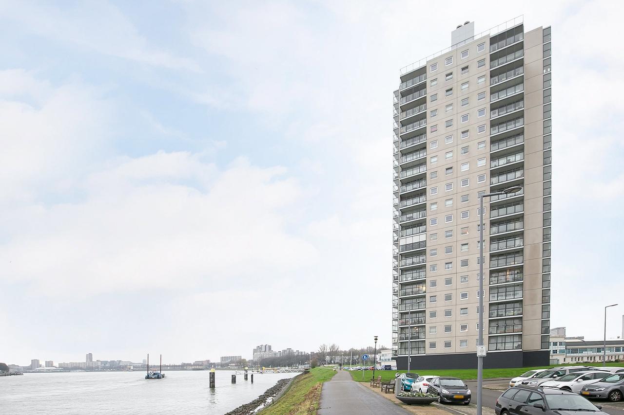 Uitzicht op de Maas vanaf de 10e verdieping - Afbeelding 3