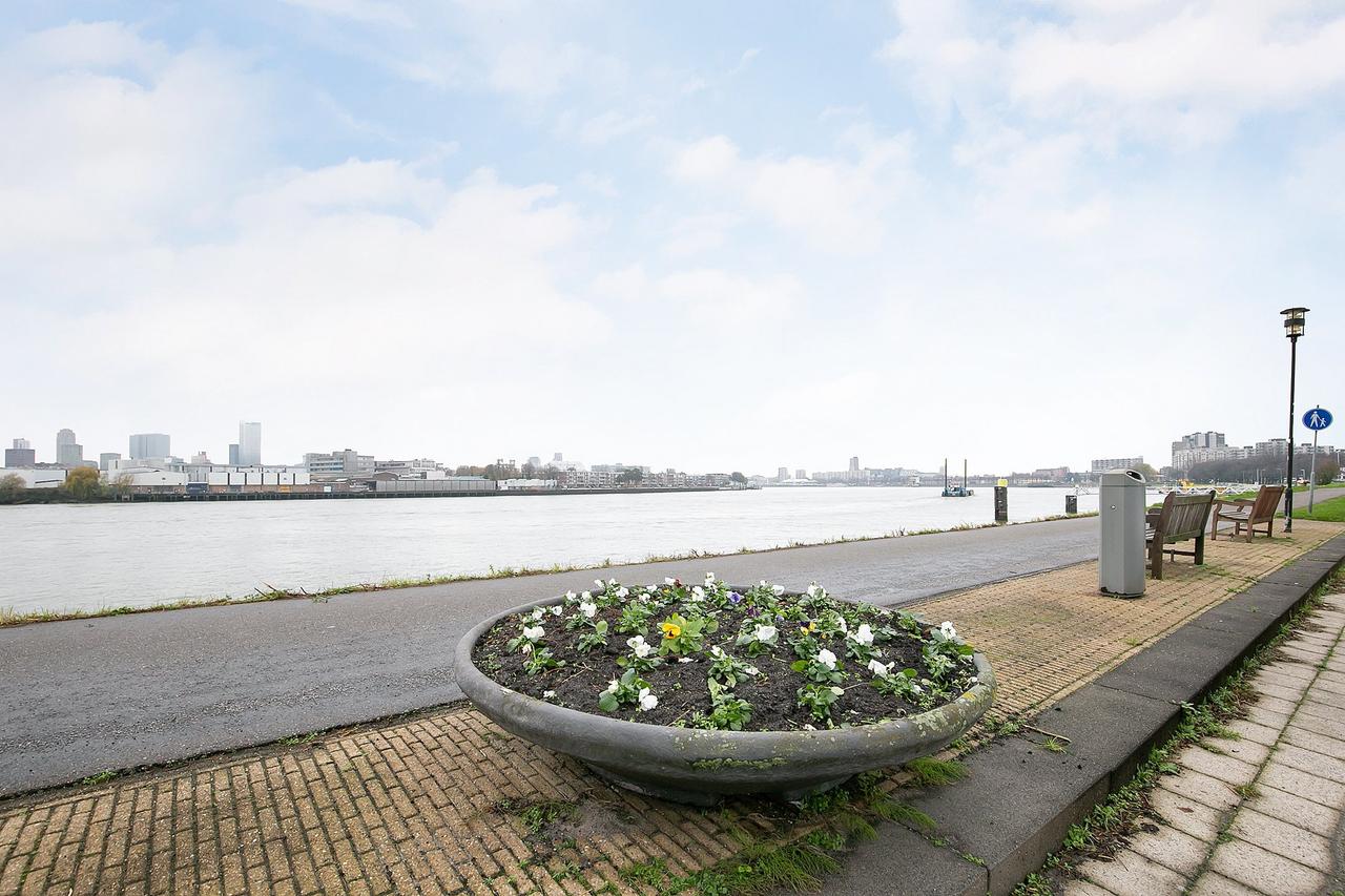 Uitzicht op de Maas vanaf de 10e verdieping - Afbeelding 18