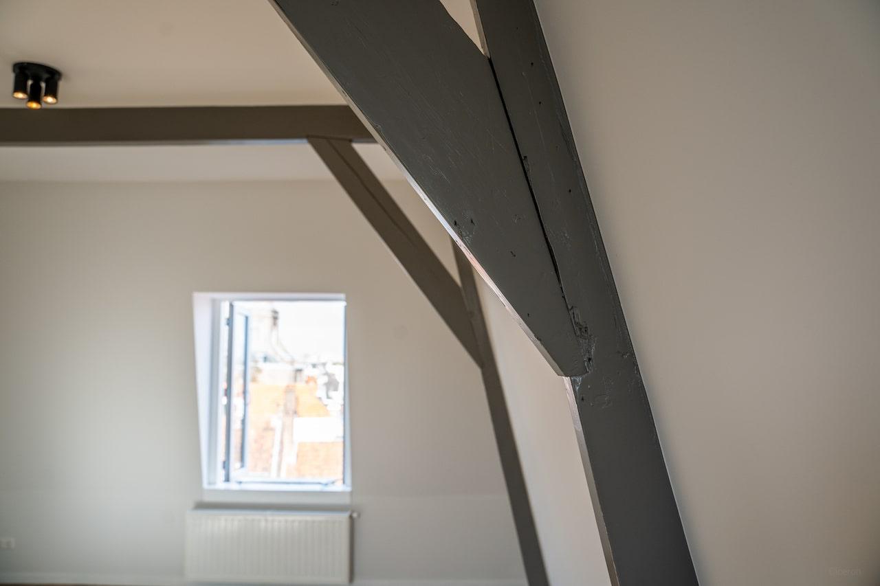 Rustig wonen in hartje Leiden met veel licht - Afbeelding 15