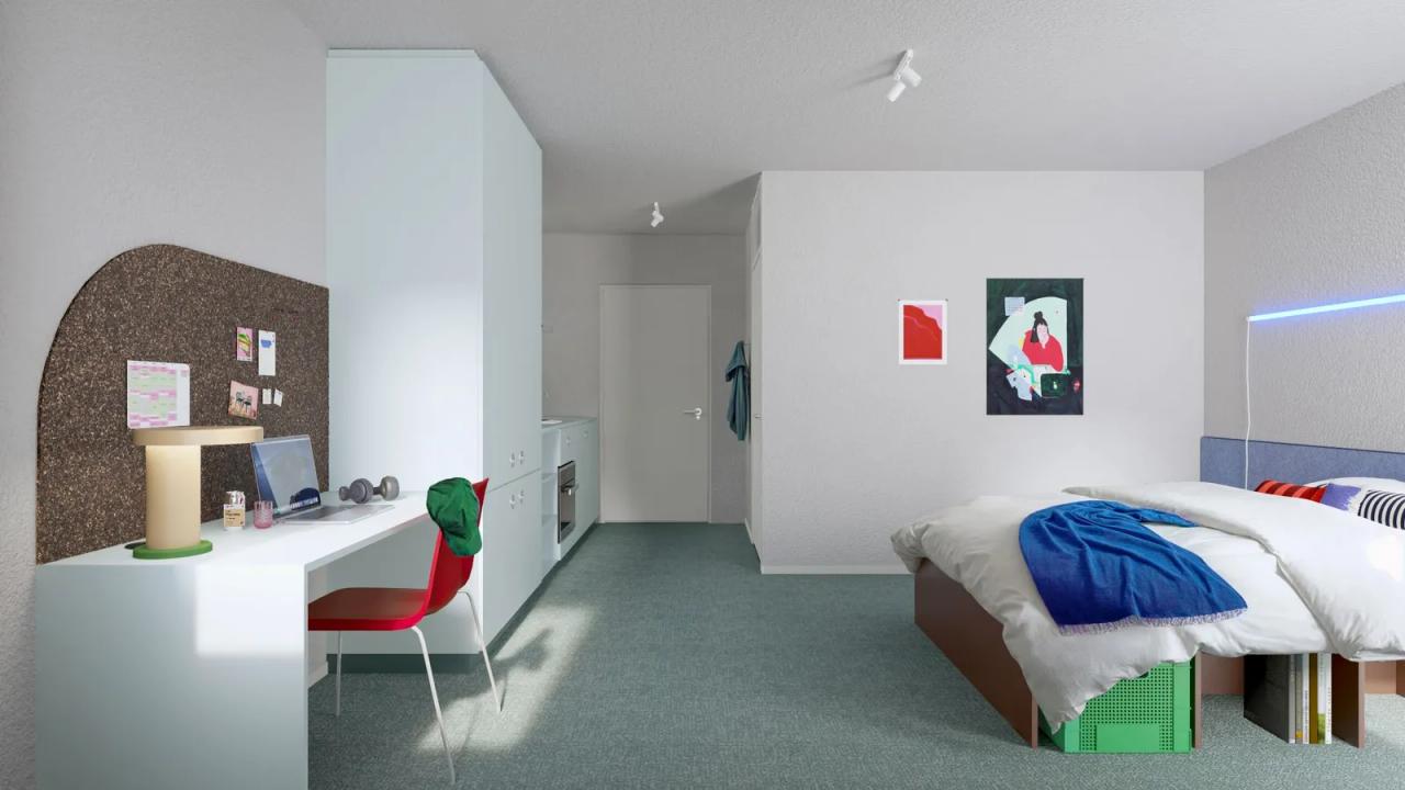 Ingerichte XL-studio met fitness in Randwyck - Afbeelding 1