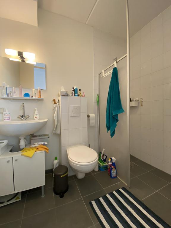 Energiezuinig appartement met dakterras - Afbeelding 8