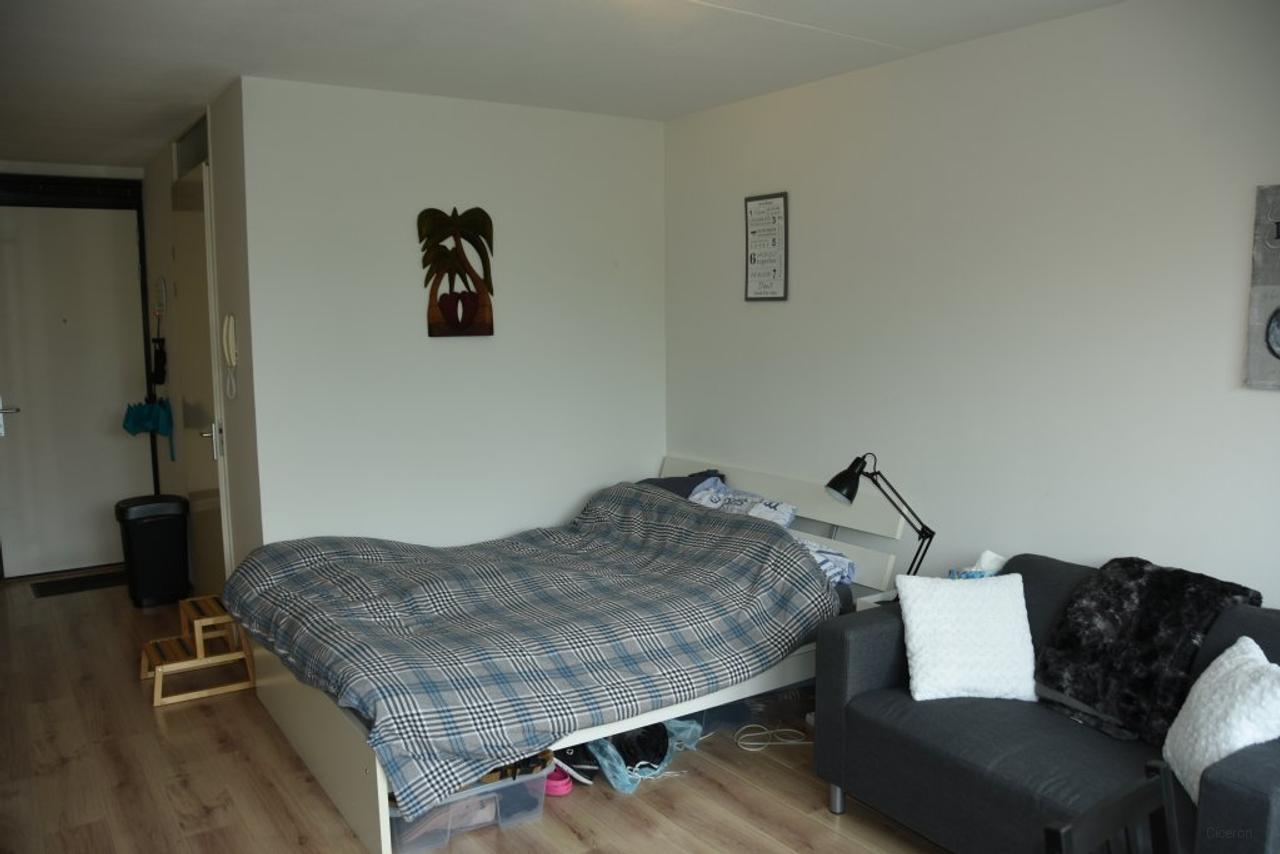 Gemeubileerde studio van 30 m² in Utrecht - Afbeelding 6