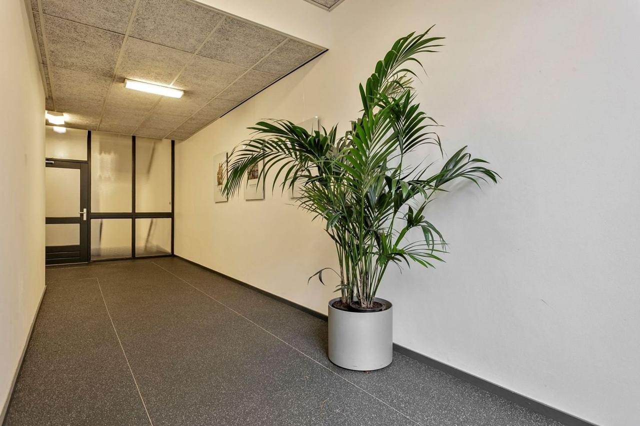 Gemeubileerd 3-kamerappartement in Uilenburg - Afbeelding 2