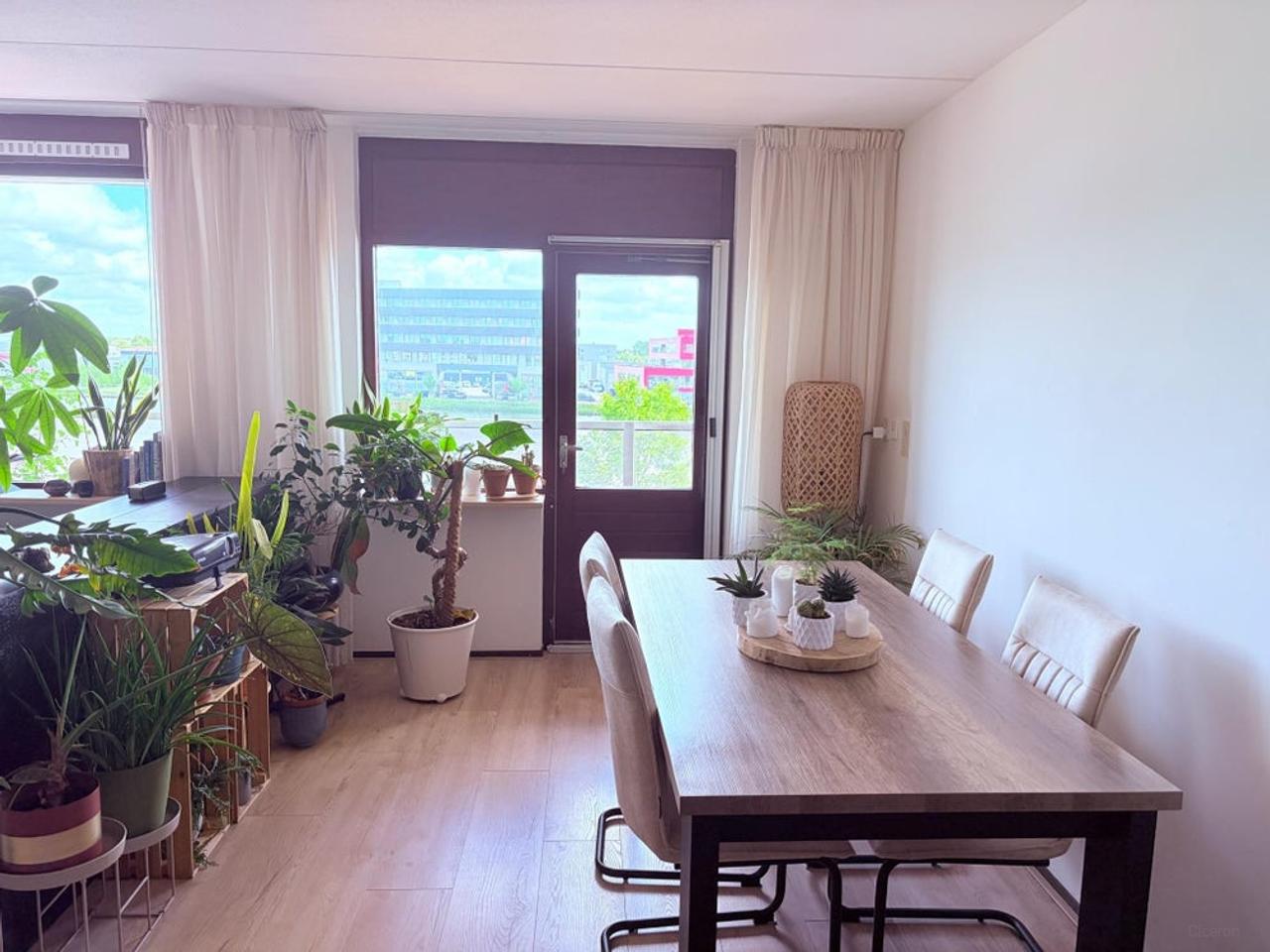 Aan het Spaarne met balkon en privéparking - Afbeelding 2